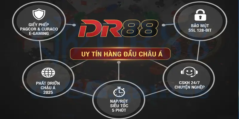 Ưu Thế Cạnh Tranh Của DR88 Đẳng Cấp Dẫn Đầu