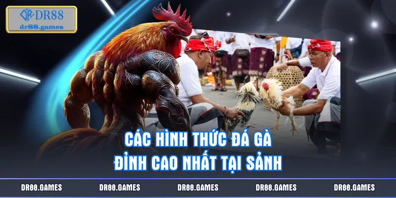 Các hình thức đá gà đỉnh cao nhất tại sảnh