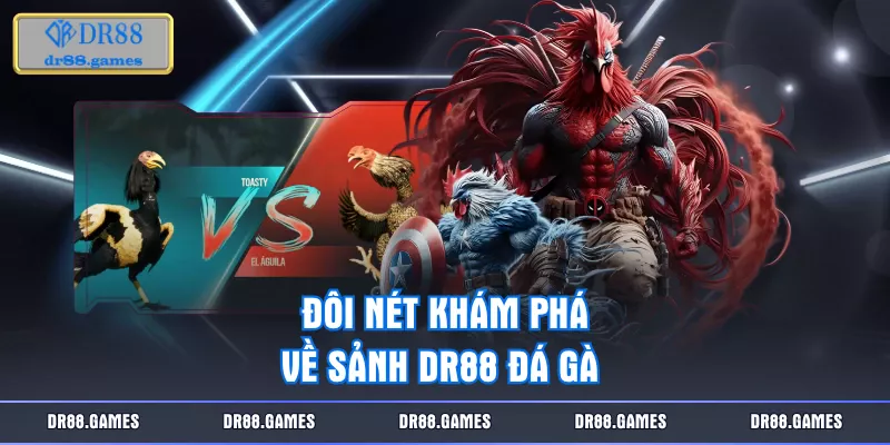 Đôi nét khám phá về sảnh DR88 đá gà 