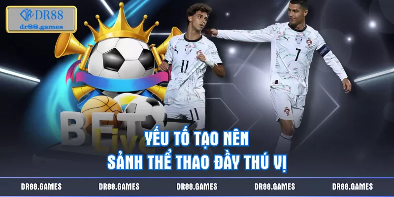 Yếu tố tạo nên sảnh thể thao đầy thú vị 